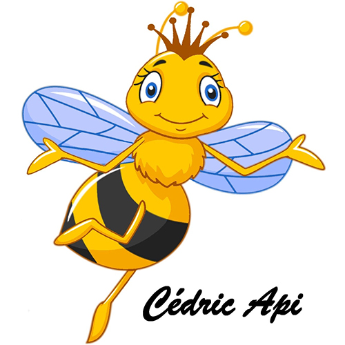 logo Cedric API
